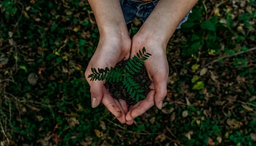 buoni propositi ecosostenibili